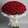 Букет 101 Красная роза Блэк Мэджик в Волоконовке