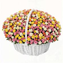 Премиум букет из: Розы в Волоконовке