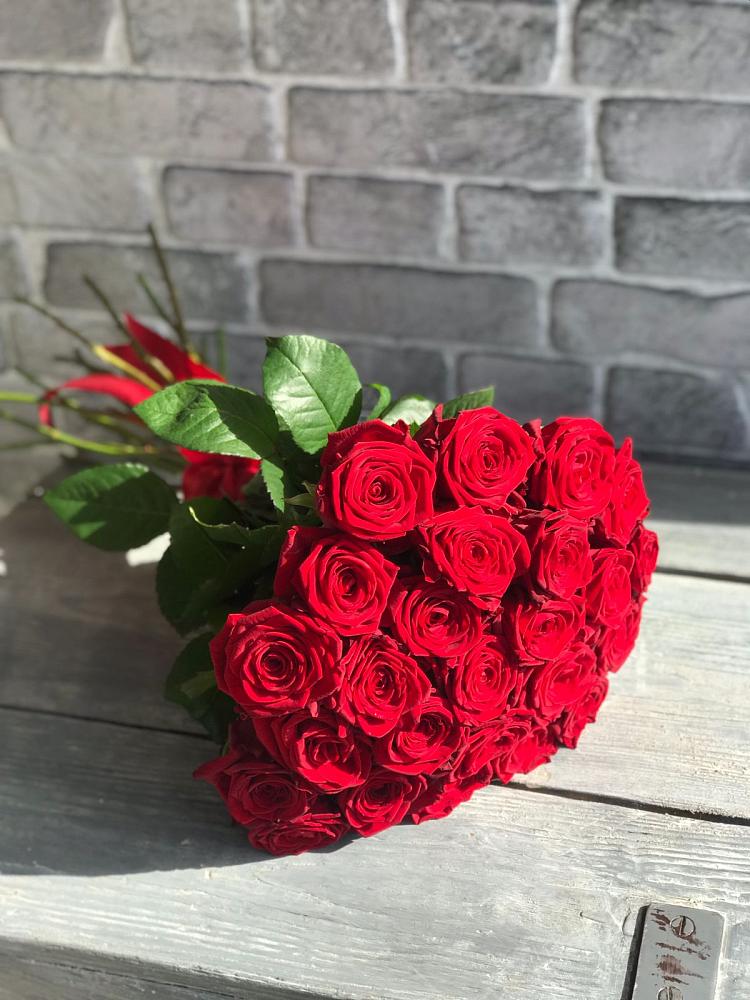 Букет Красные розы Фридом в Волоконовке