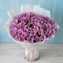 Букет цветов из:  Хризантемы в Волоконовке