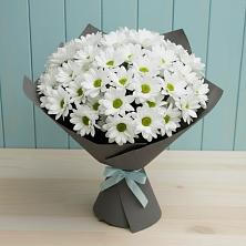 Букет цветов из:  Хризантемы в Волоконовке