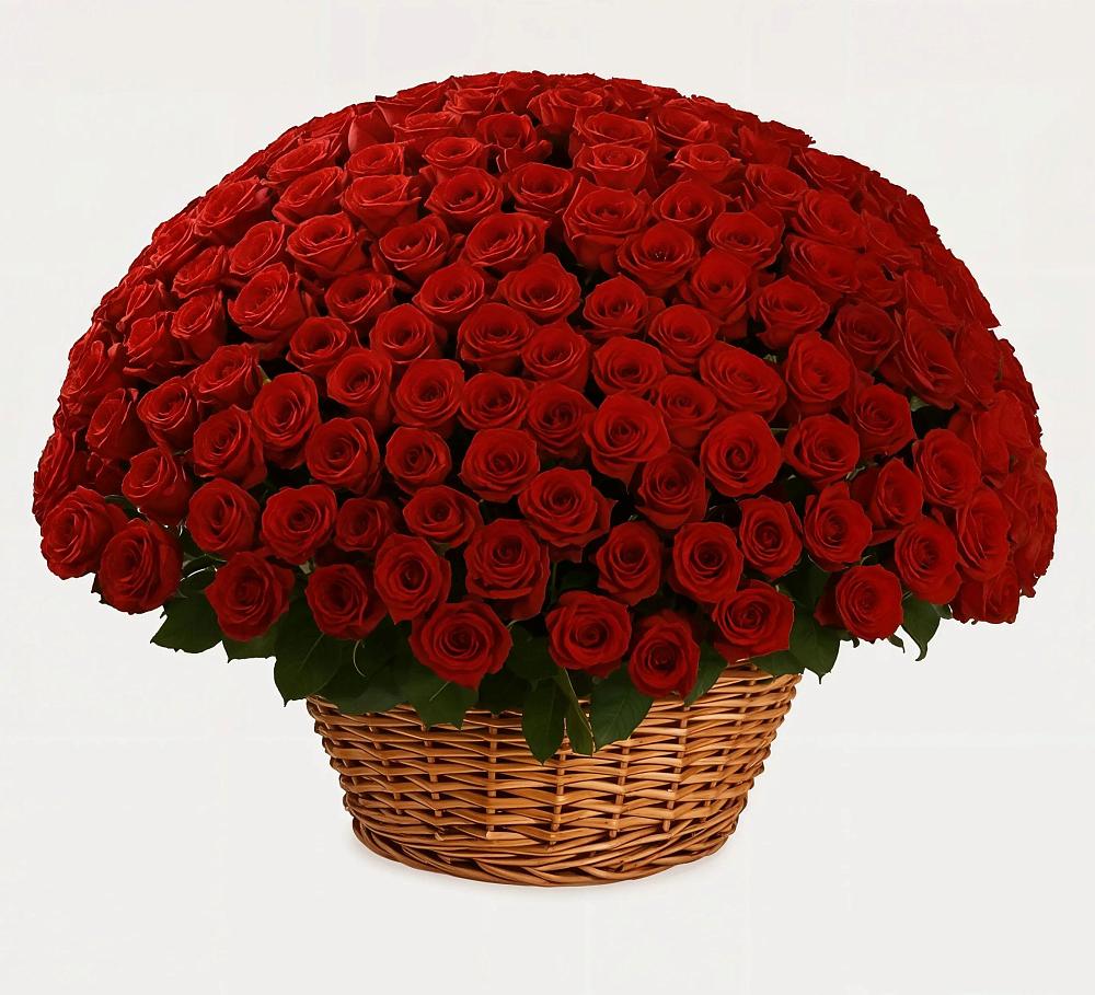 Премиум букет из: Розы в Волоконовке