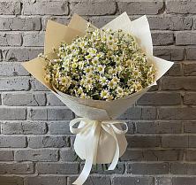 Букет цветов из:  Ромашки в Волоконовке
