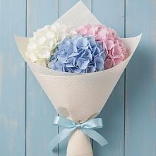 Букет цветов из:  Гортензия в Волоконовке