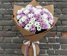 Букет цветов из:  Хризантемы в Волоконовке