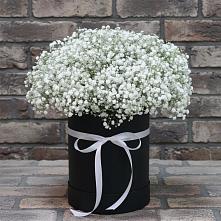 Цветочная композиция из Гипсофила в шляпной коробке в Волоконовке