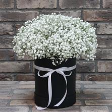Цветочная композиция из Гипсофила в шляпной коробке в Волоконовке