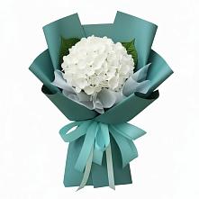 Букет цветов из:  Гортензия в Волоконовке